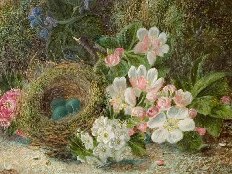 1852-Oliver Clare - Nido d'uccello con fiori di melo e biancospino